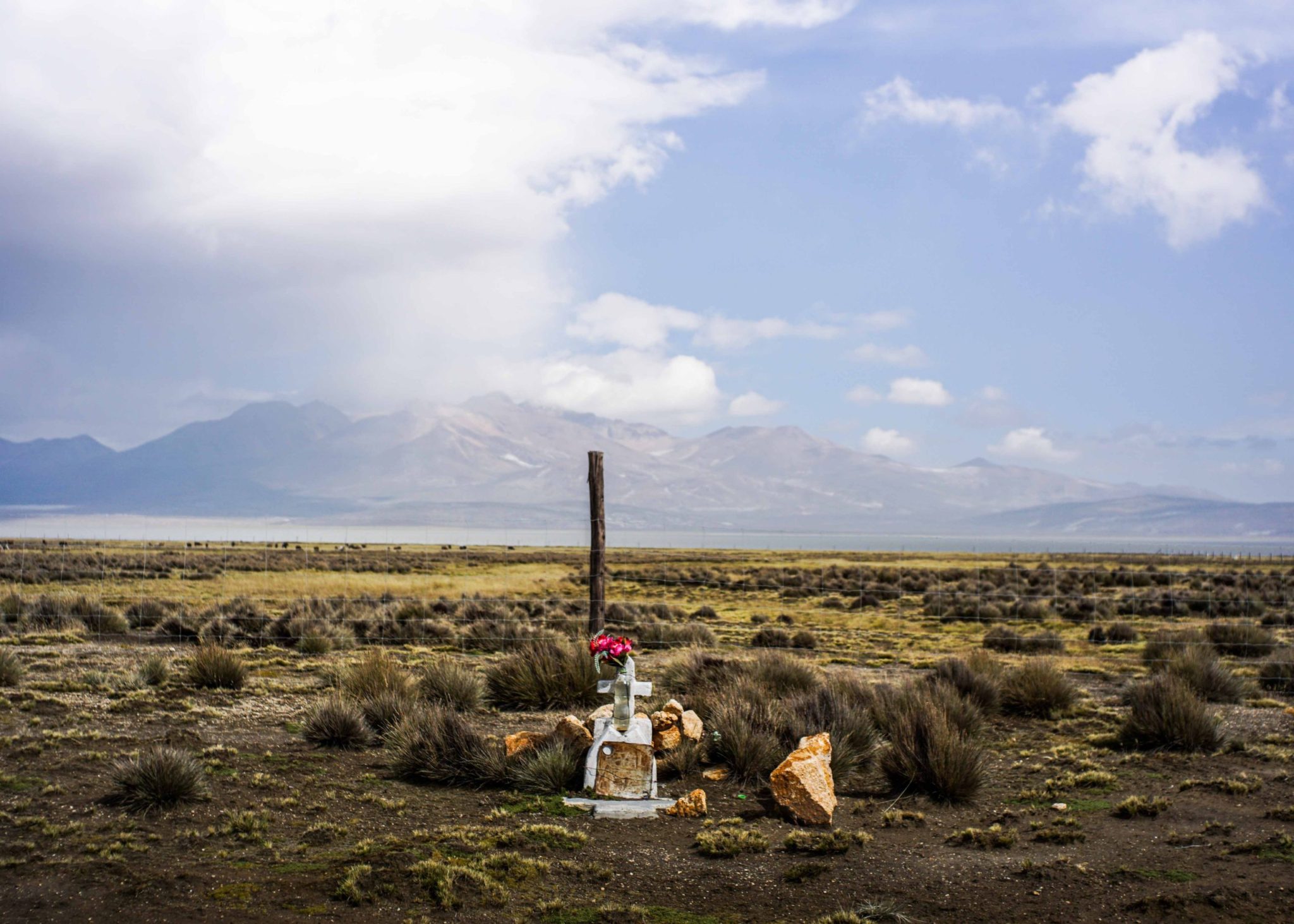 You are currently viewing Resting place